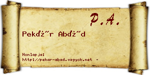 Pekár Abád névjegykártya